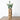 Naturale Vases Tall Wide | Sage & Sill