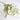 Faux Poppy Flowers White / 1 Spray | Sage & Sill